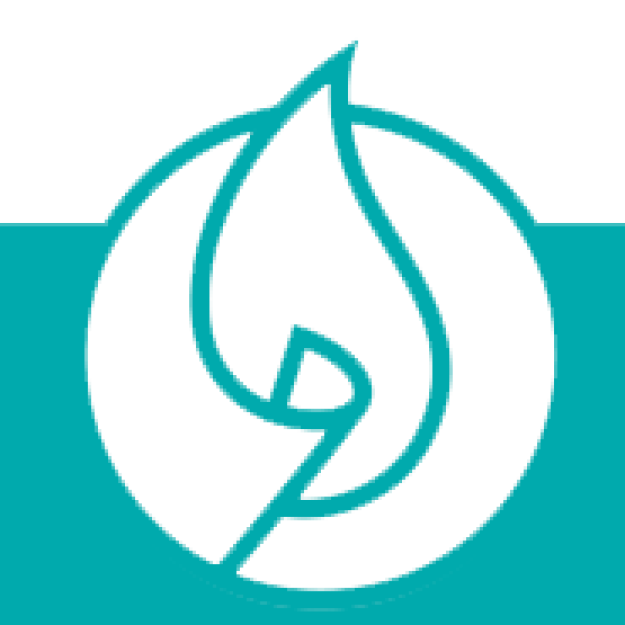 مرتضی میرزاحسینی